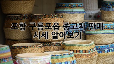 포항 구룡포읍 중고차 판매 시세 알아보기